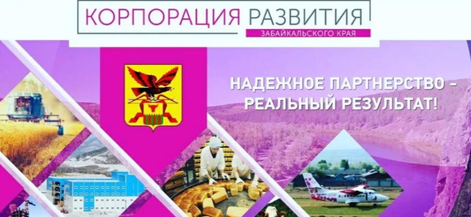 В МФЦ можно получить услугу АО «Корпорация развития Забайкальского края» в июле 2022 года
